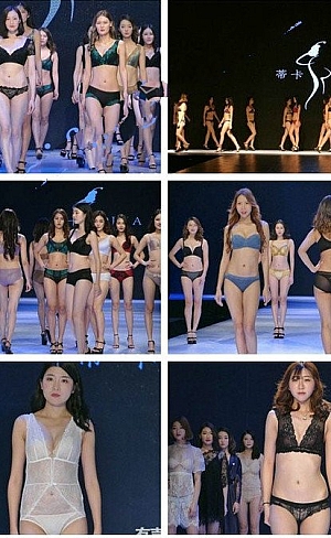 模特走秀内衣秀大合集几百部112GB,永久会员免费